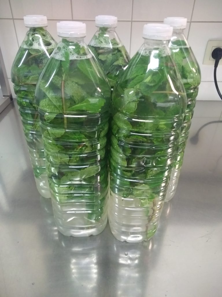 Virgin mojito 2L. ( en suikervrij)